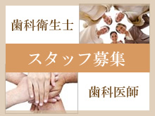 スタッフ募集